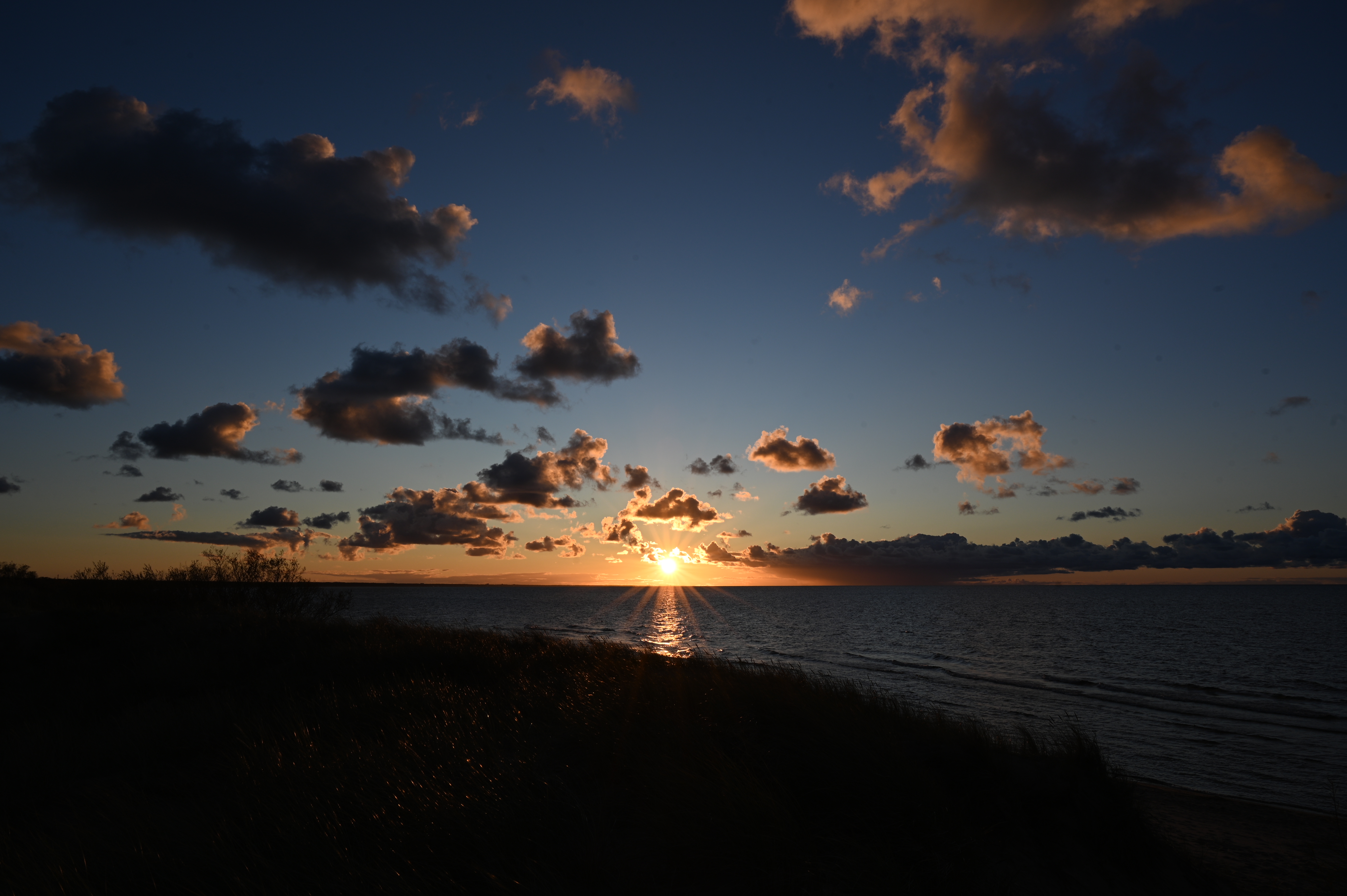 2025/10/18 - walk/DSC_0400.JPG